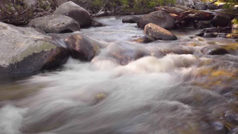 slow motion slow shutter speed clip of a rushing stream in early morning light