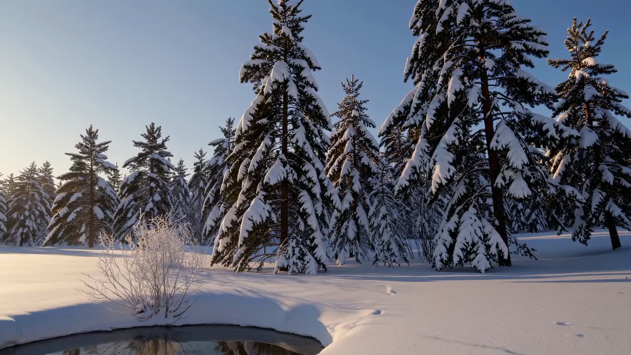 En fredfull vinterlandskapsvideo med snødekte trær ved soloppgang