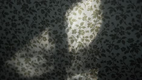 shadow of foliage in wind reflected on the wall with vintage, floral wallpaper