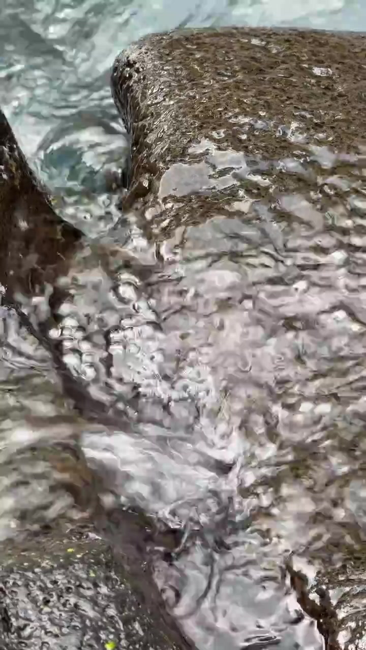 Acqua limpida che scorre su rocce scure e bagnate in un ruscello
