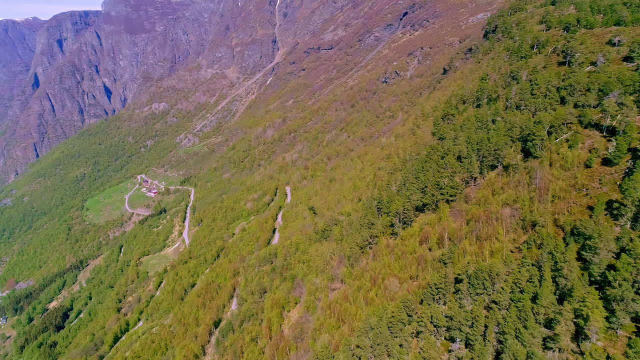 가파른 산의 푸르고 울창한 면