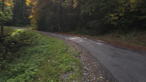 First-person-view-walking-along-shaded-road-in-woods-with-sunbeams-through-trees,-Haute-Savoie-in-France