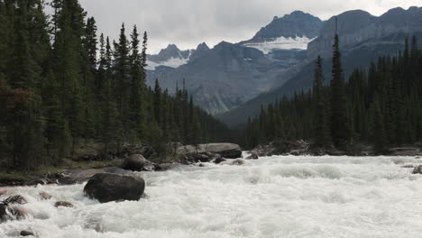 a rushing whitewater river surges through a dense forest valley, framed by towering, snow-capped mountain peaks