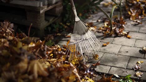 rake to clean up leaves from the trees is leaning against a wall