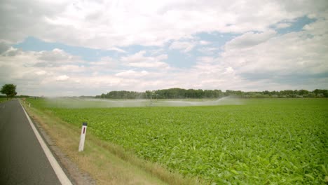 crop irrigation in green fields of marchfeld, austria - drone shot