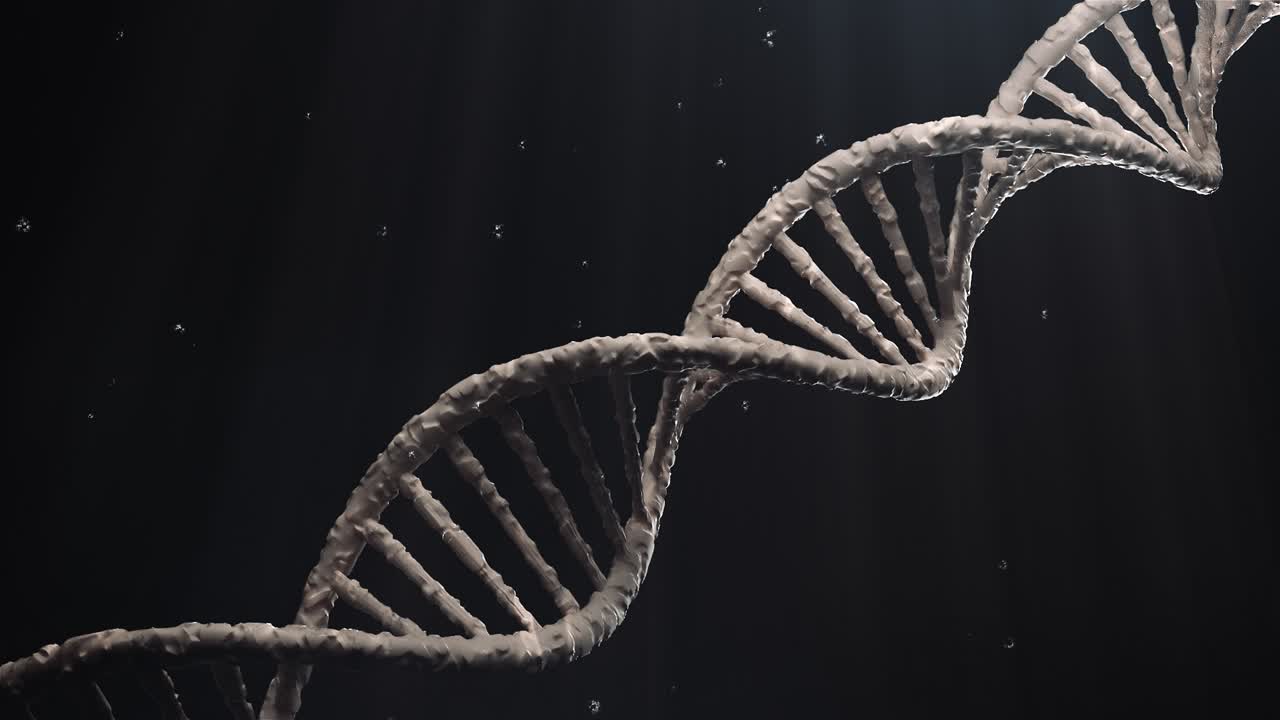 las moléculas de estructura dnk giran en bucle