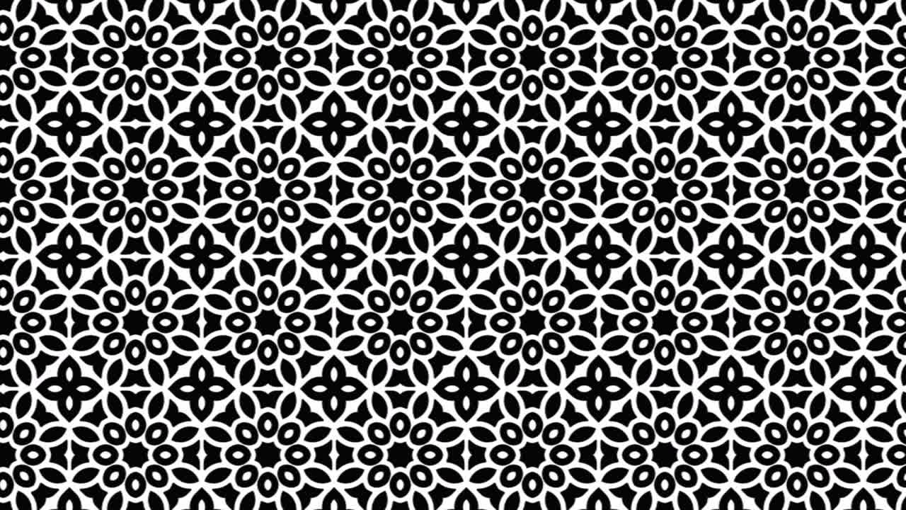 Monochrome Mandala Matrix Seamless Floral Geometry Slide Animation