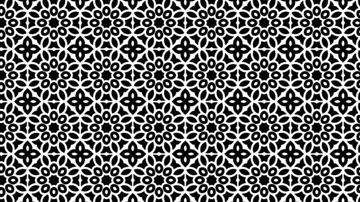Monochrome Mandala Matrix Seamless Floral Geometry Slide Animation