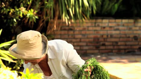 mujer con verduras de raíz en el jardín