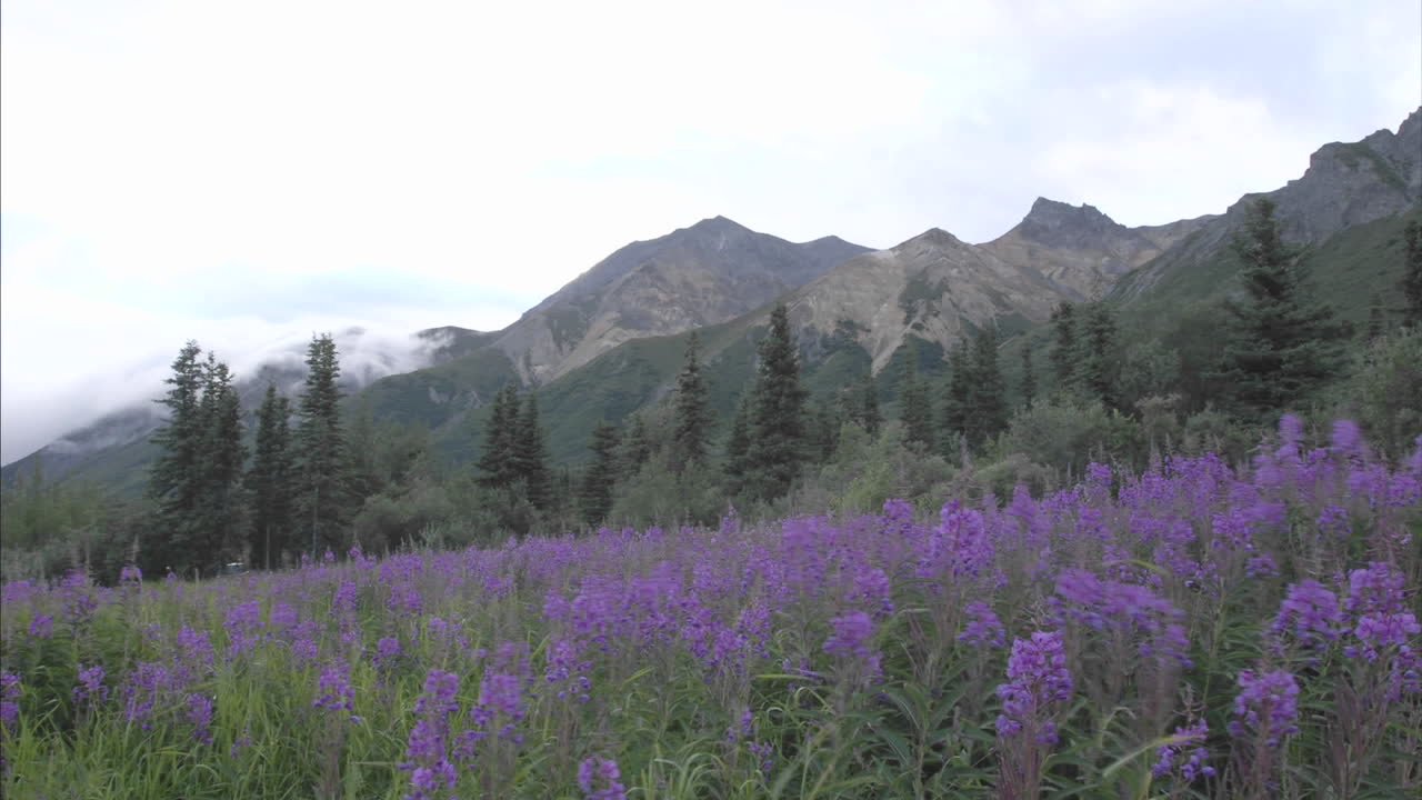 таймлапс облаков, проплывающих над овечьей горой на аляске