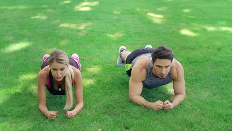 sport couple training plank exercise together on grass in summer park.