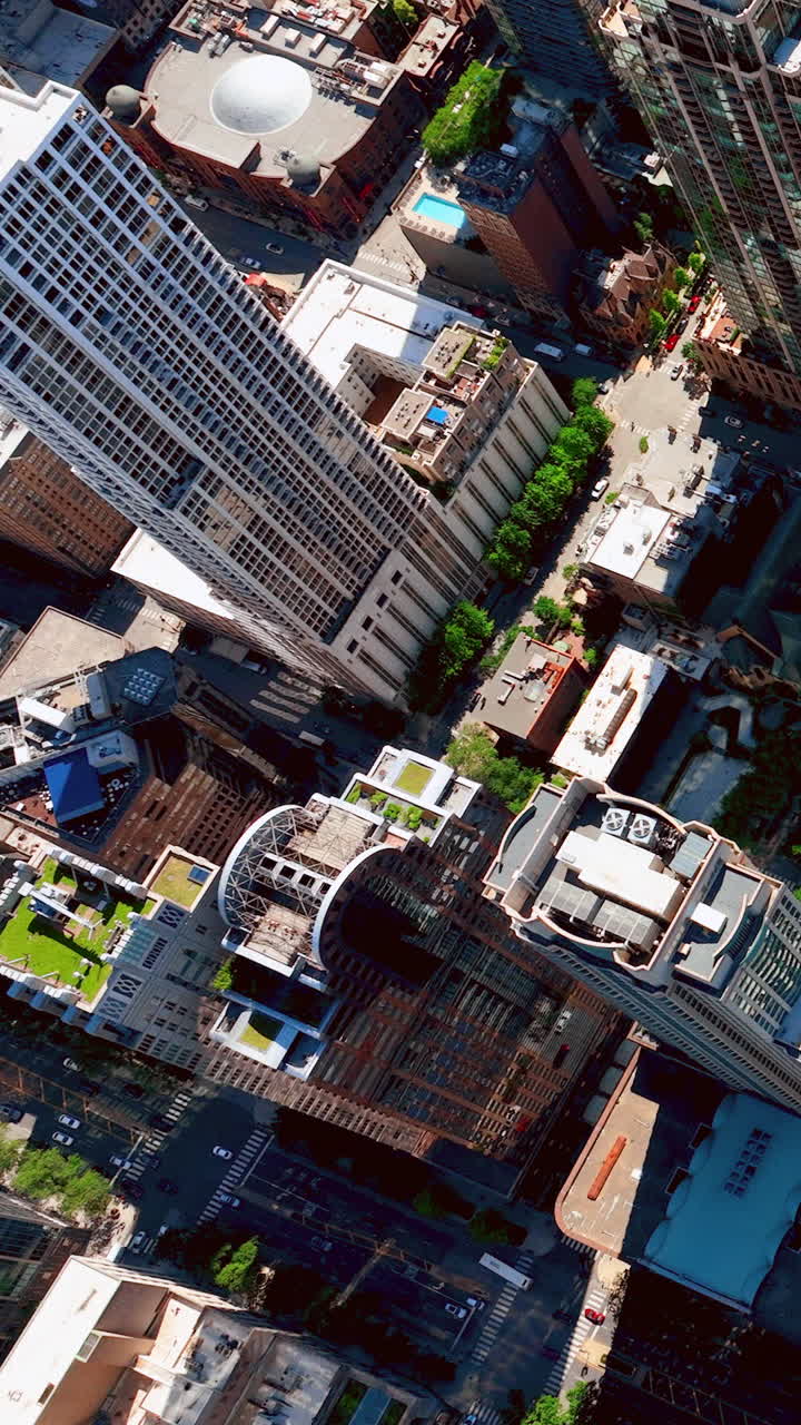 Vista aérea de uma rua de Chicago em um dia ensolarado de verão com os edifícios ao redor. Vídeo vertical