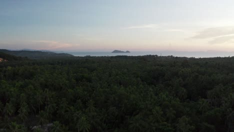 sunset on lush tropical island of koh phangan with palm tree forest