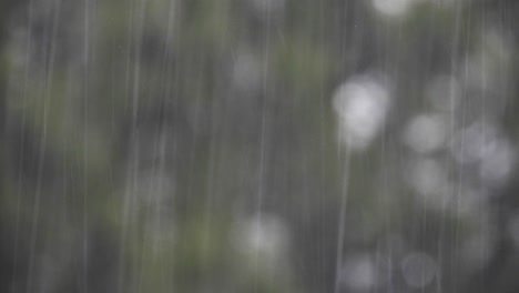 rain-drops-falling,-calm-meditative-cold-rainy-day-scene-with-bokeh-blur