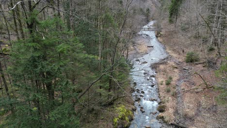 Statik-Einer-Drohne,-Die-Einen-Blick-Auf-Umgestürzte-Bäume-über-Einem-Fließenden-Fluss-Mit-Einer-Brücke-In-Der-Ferne-Ermöglicht