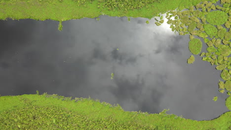 tiro cinemático de drones en ángulo descendente del río amazonas con exuberante selva verde en todos los lados del agua en perú