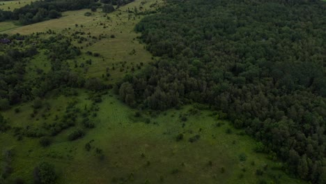 Aerial-of-green-landscape-with-forests-and-meadows-in-Saaremaa-Estonia