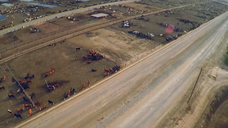 Antena-Sobre-Los-Corrales-En-Un-Rancho-De-Ganado-Y-Matadero-En-California-Central