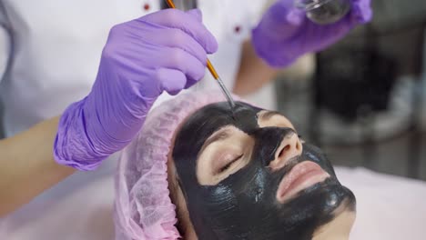 spa facial mask application. spa beauty organic facial mask application at day spa salon.
