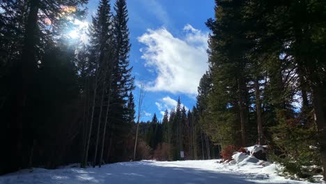 Ein-Wunderschöner-Verschneiter-Weg,-Umgeben-Von-Hohen,-Aufragenden-Goldenen-Kiefern-In-Einem-Skigebiet-In-Colorado-An-Einem-Warmen,-Sonnigen,-Klaren-Tag-Mit-Wolken,-Die-Schnell-Vorbeiziehen