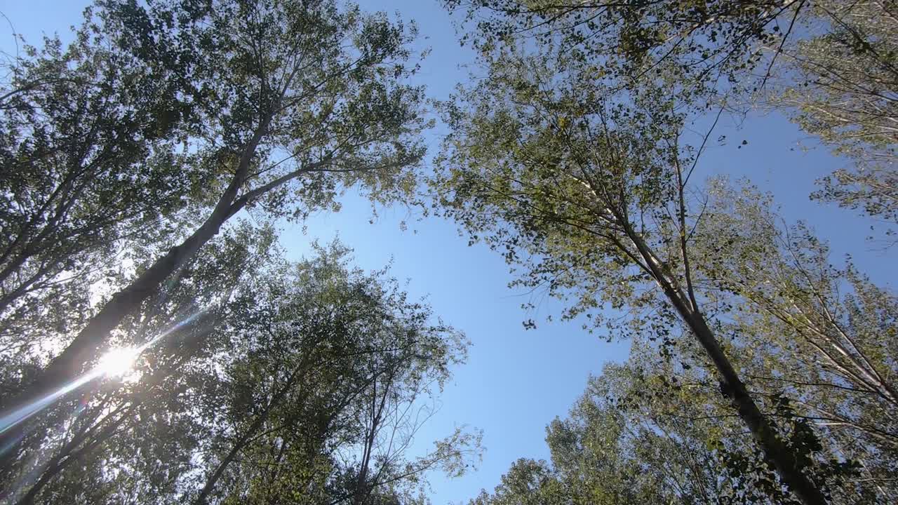 중국 베이징 한시차오 습지 국립공원의 나무, 정원, 다색 깃발 및 경로