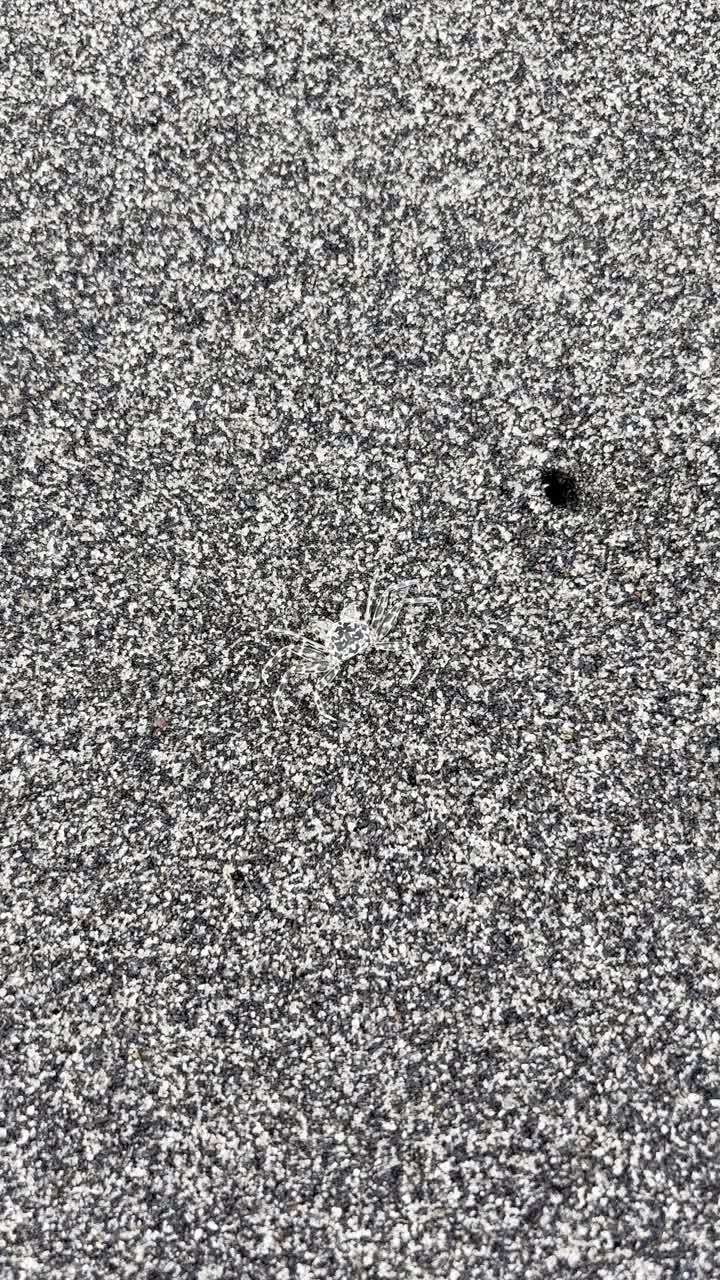 Close-up of a Delicate Snowflake on a Granular Surface