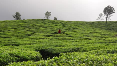 A-man-walking-alone-in-the-field