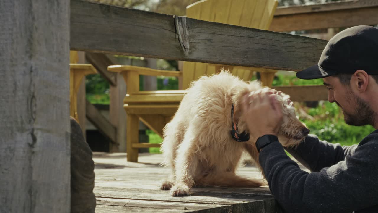 Dog on deck in sunlight, relaxed, outdoors with people nearby, rustic vibe