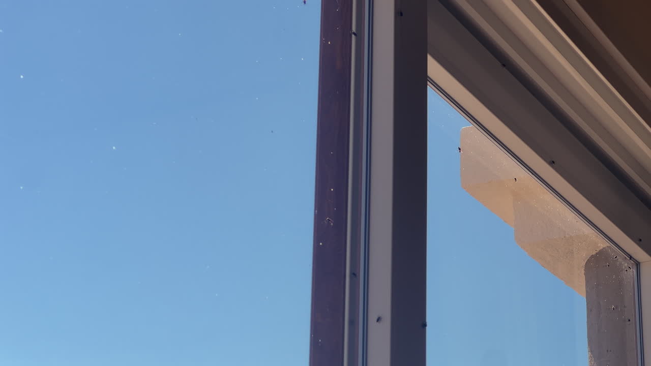 Infestación masiva de moscas en la ventana de una puerta de cristal de PVC con insectos atrapados en el vidrio a la luz del día.