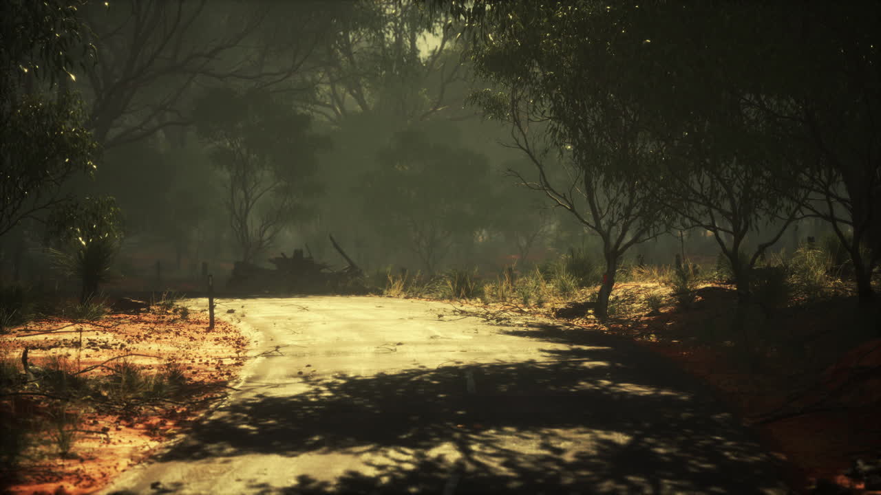 Clean rural Road with trees