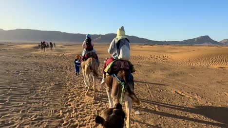 tourists riding camels and taking selfies on phone in sahara desert