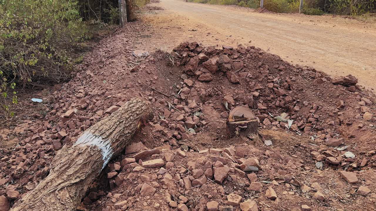 Följebild av ett nyligen fällt träd vid vägkanten med kvarvarande stubbe, lös jord och stenrester, vilket visar markröjningsarbete för byggande av landsvägar och infrastrukturutbyggnad.