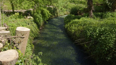 disparo de la presa en el estanque del lago y el desfiladero de piedra caliza con vegetación