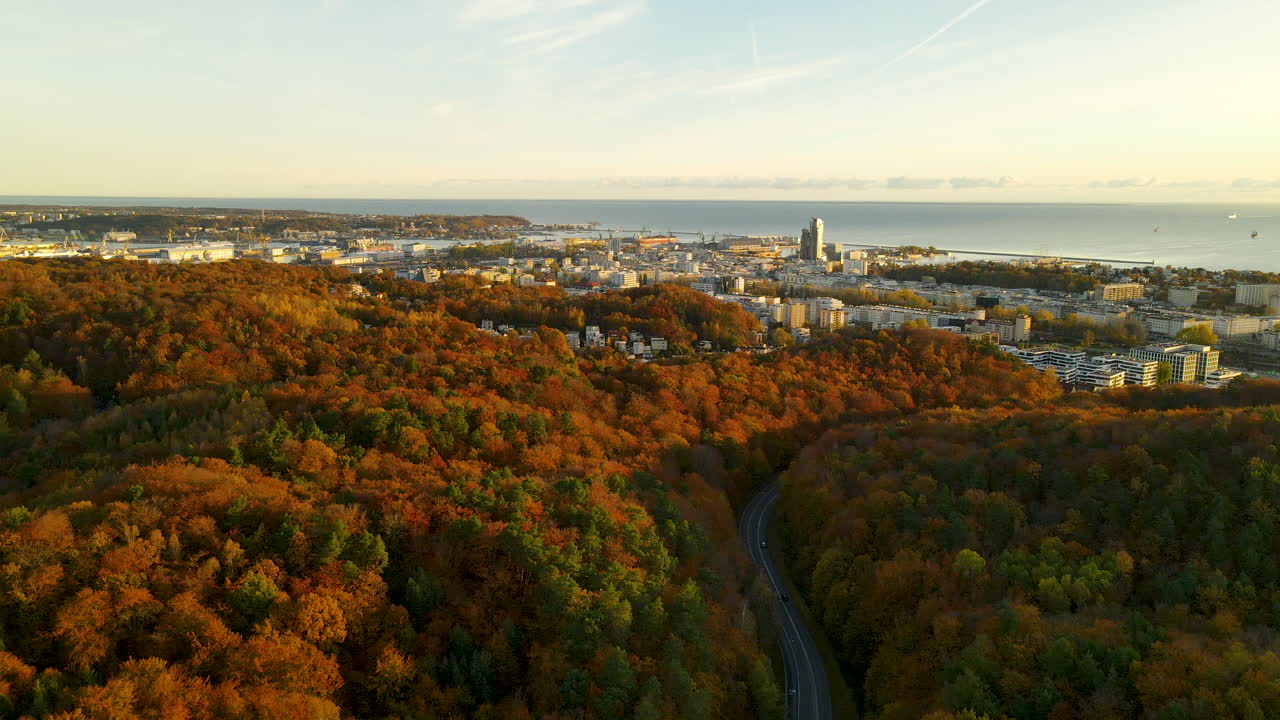 gdynia 폴란드 해안 도시 경치 좋은 공중 돌리 샷의 아름다운 가을 숲 색상
