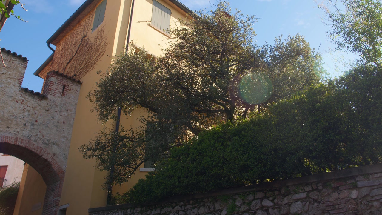 Muro de pedra histórico, árvore frondosa e edifício iluminado pelo sol em uma rua tranquila em Asolo.