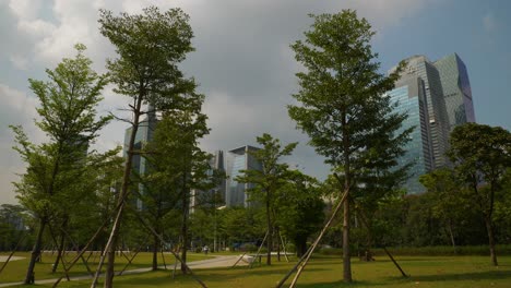 sunny day guangzhou city park slow motion panorama 4k china