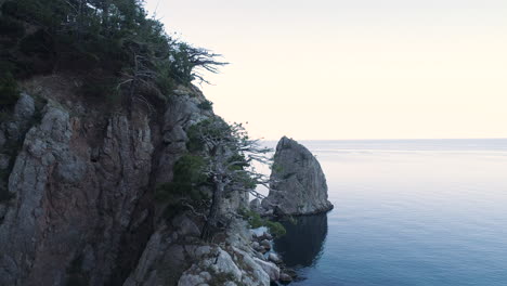 coastal cliff landscape with sea stacks