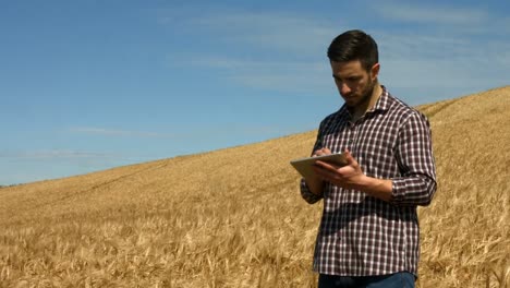 Landwirt-überprüft-Seine-Ernte-Mithilfe-Eines-Tablets