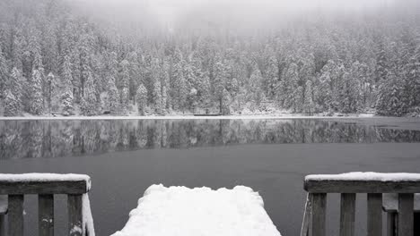 half frozen lake with frozen pine trees in background