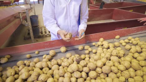 Agronomist-checking-potatoes.