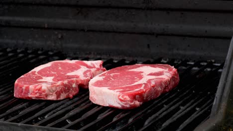 two raw rib-eye steaks getting ready to cook on a grill