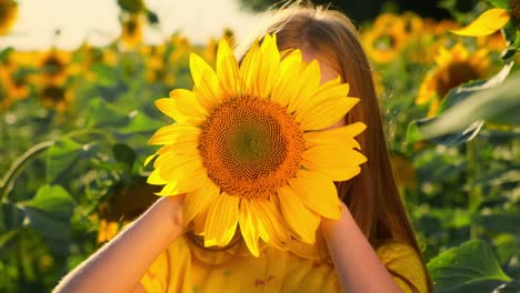 Smiling Child with Sunflower in a Field