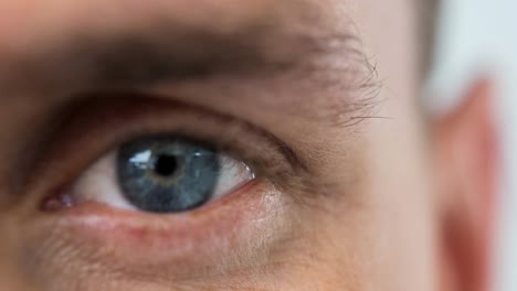 primer plano del ojo verde del macho contra un fondo blanco