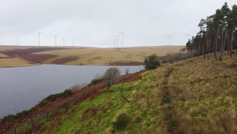 Wind-Turbine-Farm-with-Camera-Panning-to-Forest-Plantation-with-New-Trees-Planted-in-Wales-UK---Aerial-Drone-shot-4K