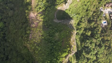 Von-Oben-Nach-Unten,-Baumkronenansicht-Des-Hockenden-Löwen