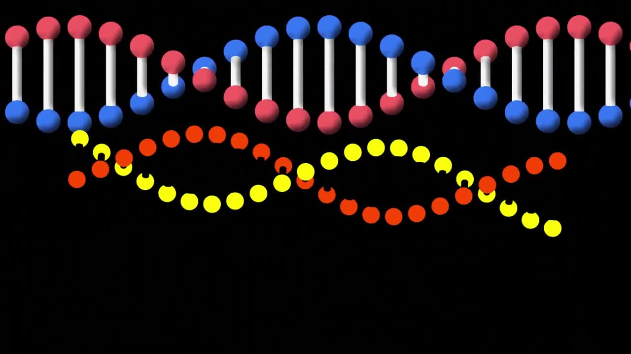 검은색 배경과 분홍색 원을 켜는 두 개의 dna 가닥의 애니메이션