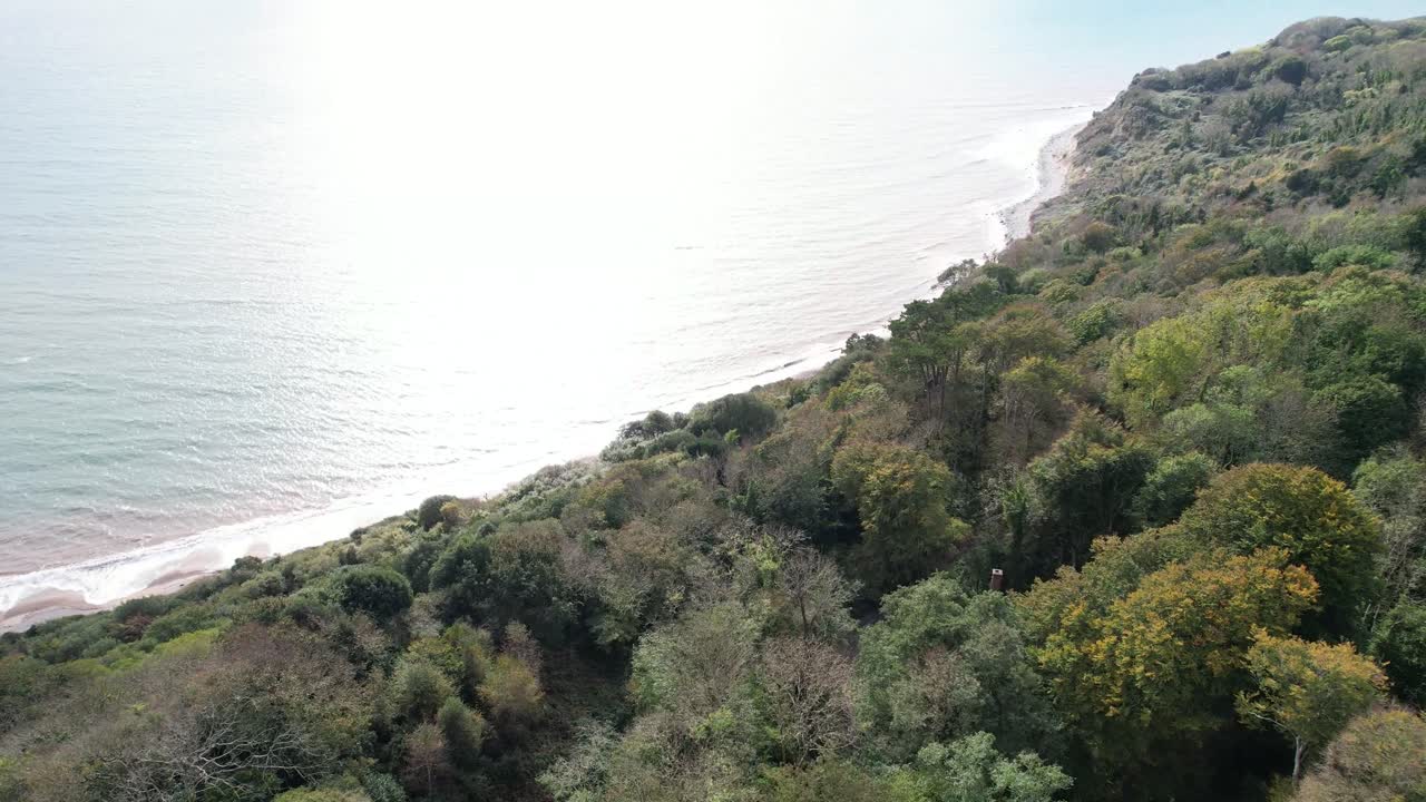 Capturing the stunning undercliffs along the English Channel, this aerial view showcases the lush greenery and expansive shoreline from Lyme Regis to Seaton