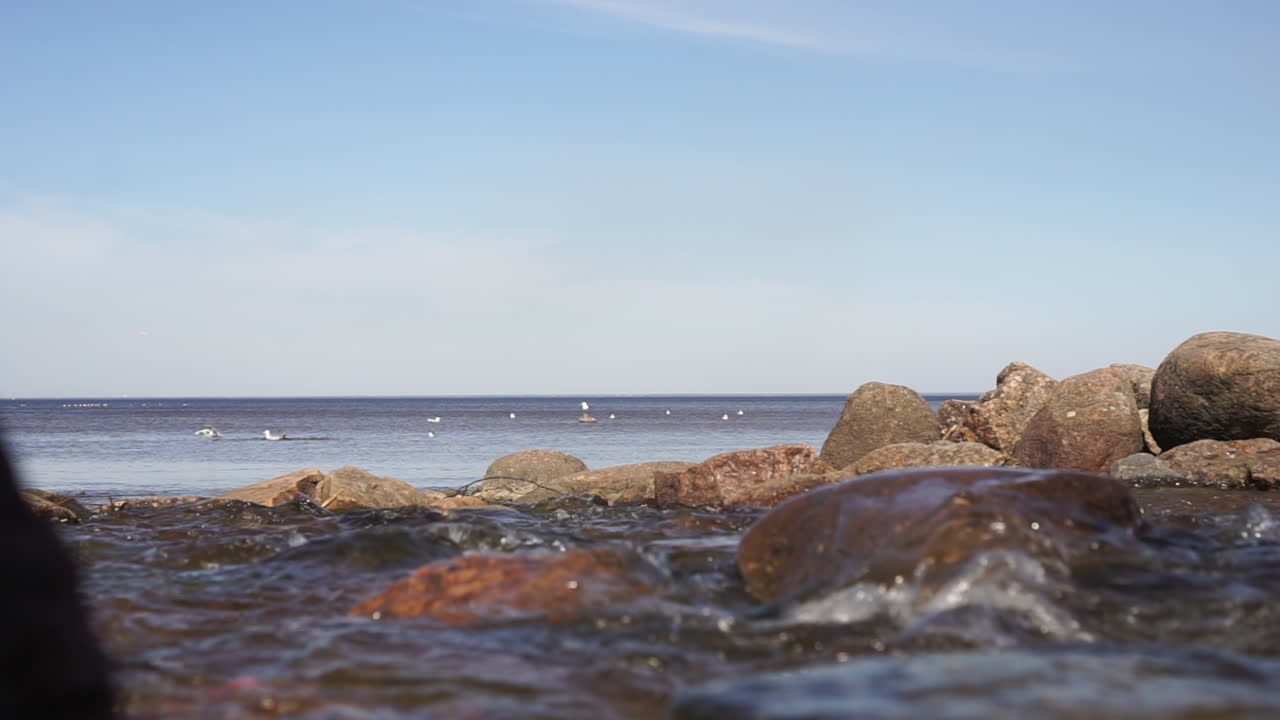 Rocky Coastline with Birds