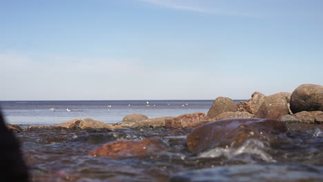 rocky coastline with birds