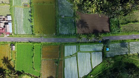 breathtaking bali scenery: aerial 4k drone view of ubud countryside